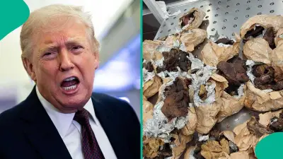 US Bans Bush Meat, Lists Prohibited Items for Travelers in 2026