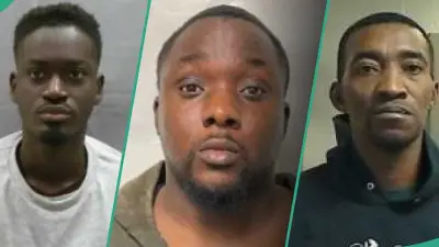 US Publishes 125 Nigerian Criminals for Deportation in 'Worst of the Worst' List
