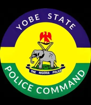 Yobe Police Arrest Man for Defiling 8-Year-Old Sister