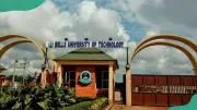 15 Private Universities Owned by Nigerian Politicians: Full List
