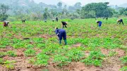 2,180 Disability Community Members to Receive Climate-Smart Agriculture Training