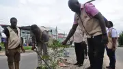 ACAMB Launches 30th Anniversary with Tree Planting Initiative in Lagos