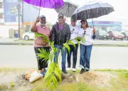 ACAMB Marks 30th Anniversary with Tree-Planting Exercise in Lagos