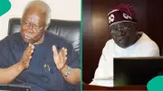 Bode George Commends Tinubu for State Police Push, Cites Key Impressive Move