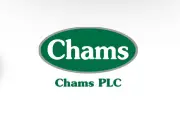 Chams Holding appoints Segun Oloketuyi as new Board Chairman