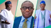 Ekiti 2026 Guber: Full List of States Governed by APC, APM, Others