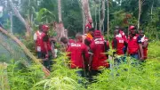 Expansion of illicit drug network in Nigeria: An objective analysis
