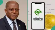 FG May Pay Salaries Through eNaira as CBN Unveils New Policies