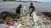 Firm Calls for National Framework to Guide Plastic Collection in Nigeria