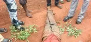 Gunmen kill man in Plateau community, troops recover body