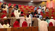 House of Representatives Demands Overhaul of Nigeria's Defence Strategies