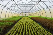 Jigawa Council Approves ₦2.4 Billion for Agriculture, Compensation, Education