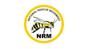 June 12: Democracy in Nigeria Bleeding, Says NRM Presidential Candidate
