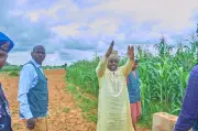Kano Regazettes 371 Grazing Reserves Encroached by Farmers