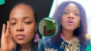 Lady Returns From 2-Month Trip Finds Yam Growing Inside Her Apartment