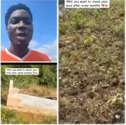 Man Shocked to Find Grave on Newly Purchased Plot of Land