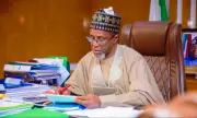 Minister Calls for Increased Investment in Nigeria's Green Economy