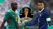 Mysterious Cat Predicts France vs Senegal 2026 World Cup Match Outcome