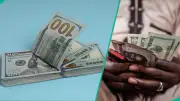 Naira Gains N5.74 Against Dollar at Official Market, Falls in Parallel Market