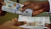 Naira Reserves Rebound as CBN’s New FX Manual Takes Effect