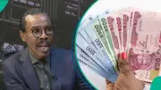 Naira Undervalued by 13% Despite FX Reforms, Says Economist Rewane