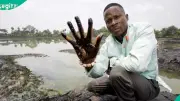 Nanotech Breakthrough Offers Hope for Niger Delta Oil Spill Cleanup