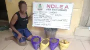 NDLEA Arrests PWDs in Abia, Rivers for Illicit Drug Trade