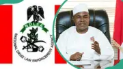 NDLEA Salary Structure 2026: Ranks, Pay, and Qualifications