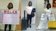 NDLEA Seizes N12.4bn Canadian Loud Cannabis in Lagos Port Raid