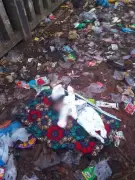 Newborn Baby Found Dead at Dump Site in Bayelsa