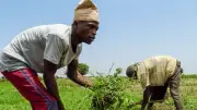 Nigeria Listed Among Hunger Hotspots for Acute Food Insecurity
