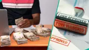 Nigeria Private Sector Credit Hits N700.31 Trillion in 2025, CBN Data Shows