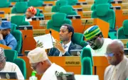 Nigeria Reps Release Constitution Alteration Bills, Set to Vote on State Police Thursday
