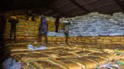 Nigeria secures sufficient fertiliser supplies for 2026 farming season, saves N61.58bn