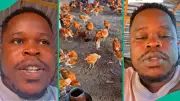 Nigerian Poultry Farmer Regrets After N5m Loss in Layers Business