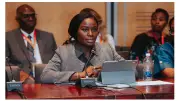 Nigeria's Upstream Investment Share in Africa Rises Tenfold, Says Presidency