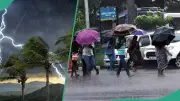 NiMet Forecasts Rainfall, Thunderstorms Across Multiple Nigerian States