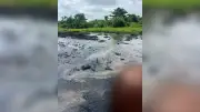 Ogun Community Alarmed by Alleged Water Source Pollution from Company