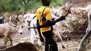 One Killed, Farmlands Destroyed in Fresh Attacks in Plateau Communities