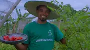 PalmPay Hustle Grant Helps GreenTead Farm Grow into Multi-Million Naira Agribusiness