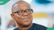 Peter Obi Must Apologise to Finland, Nigerian Judiciary Over Kanu Remarks, Soludo's Aide Says
