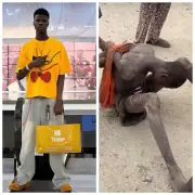 Phone Snatchers Stab 300-Level Varsity Student to Death in Abuja