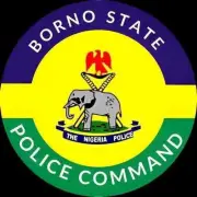 Police Hunt Man Who Attacked Wife with Axe in Maiduguri