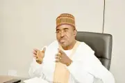 Senate Committee Pledges Full Support to NDLEA in Drug War