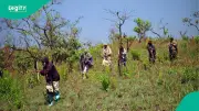 South-West Kidnapping Crisis: Hidden Networks and Blind Spots Exposed