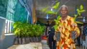 SROL Expands Cocoa and Plantain Rehabilitation for 100 Farmers in Osun