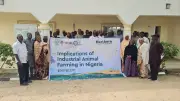 Stakeholders Warn of Environmental Risks from Industrial Animal Farming