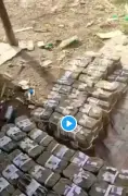 Suspected bandits flaunt ransom cash in viral video, sparking outrage