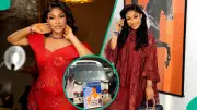 Tonto Dikeh's Fan Organises Free Buses in Abuja for Her Birthday, She Reacts