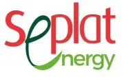 Tony Elumelu Appointed Chairman of Seplat Energy, Takes Office in 2027
